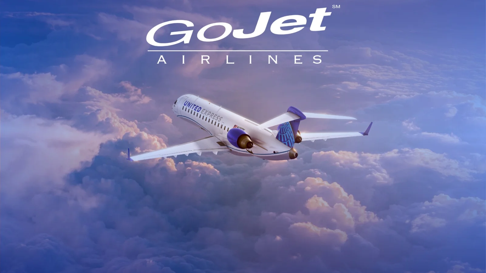 GoJet Airlines artwork